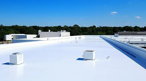 A white roof with trees in the background